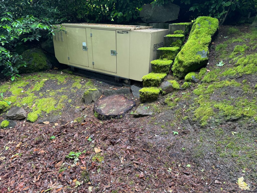 A Generac standby home generator in a backyard