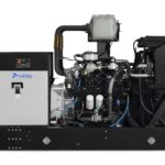 Rehlko 250REZXB Industrial Standby Generator | 250 kW